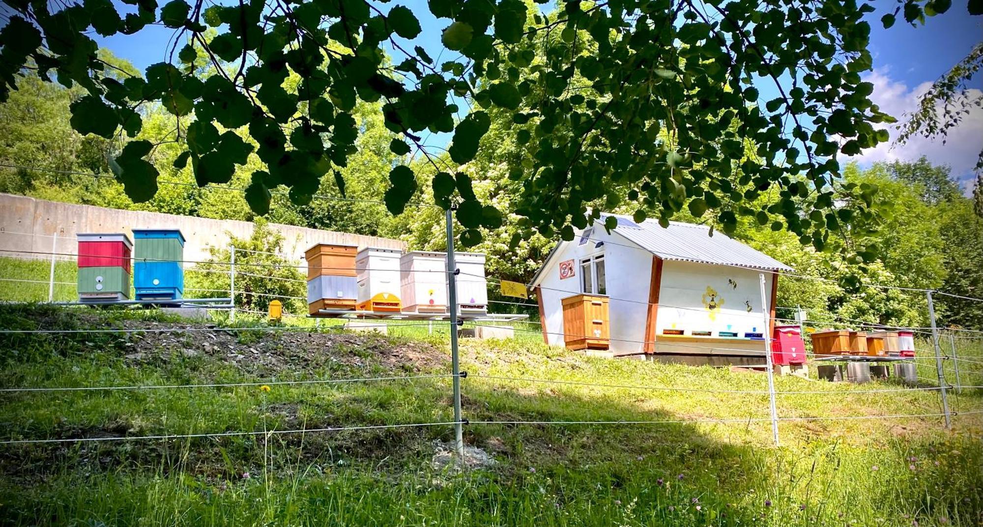 Apartmany Svrcinky Липтовски-Микулаш Экстерьер фото